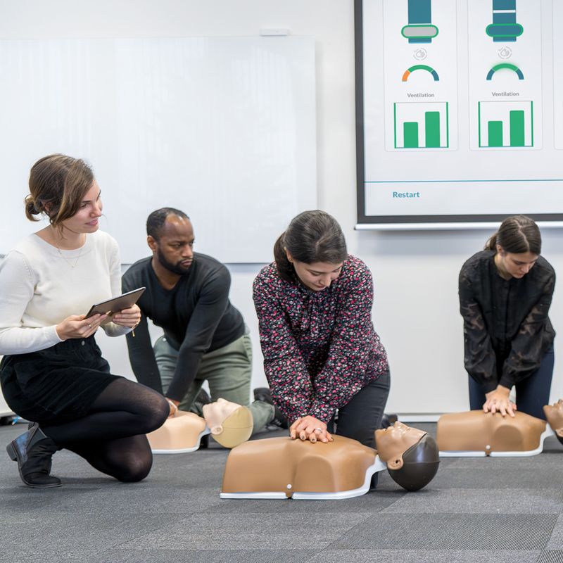 Little Anne Mørk 6-pakk