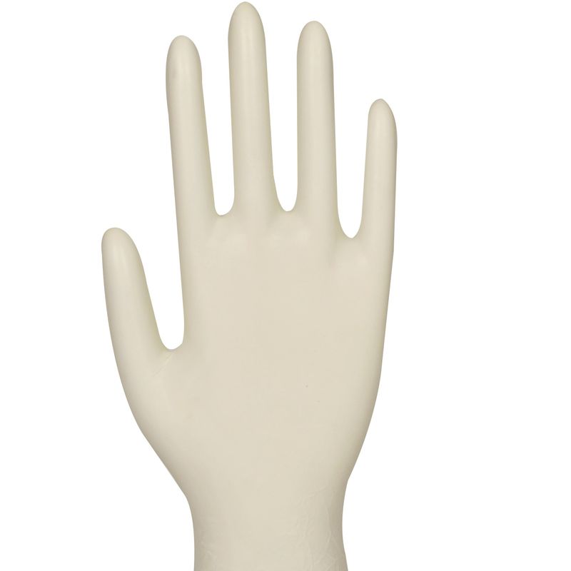 Latekshanske Abena Medium