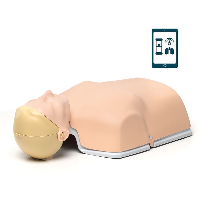 Little Anne kombo 6-pakk